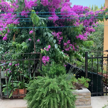 Eco Sea Apartman Piran